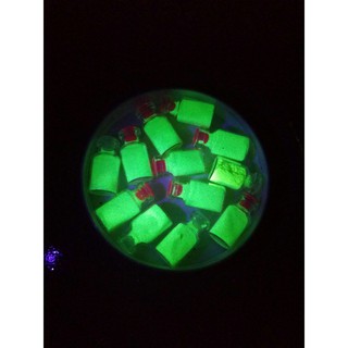 Combo 8 lọ bột dạ quang ( 1 lọ 5g) TẶNG kèm sơn pha