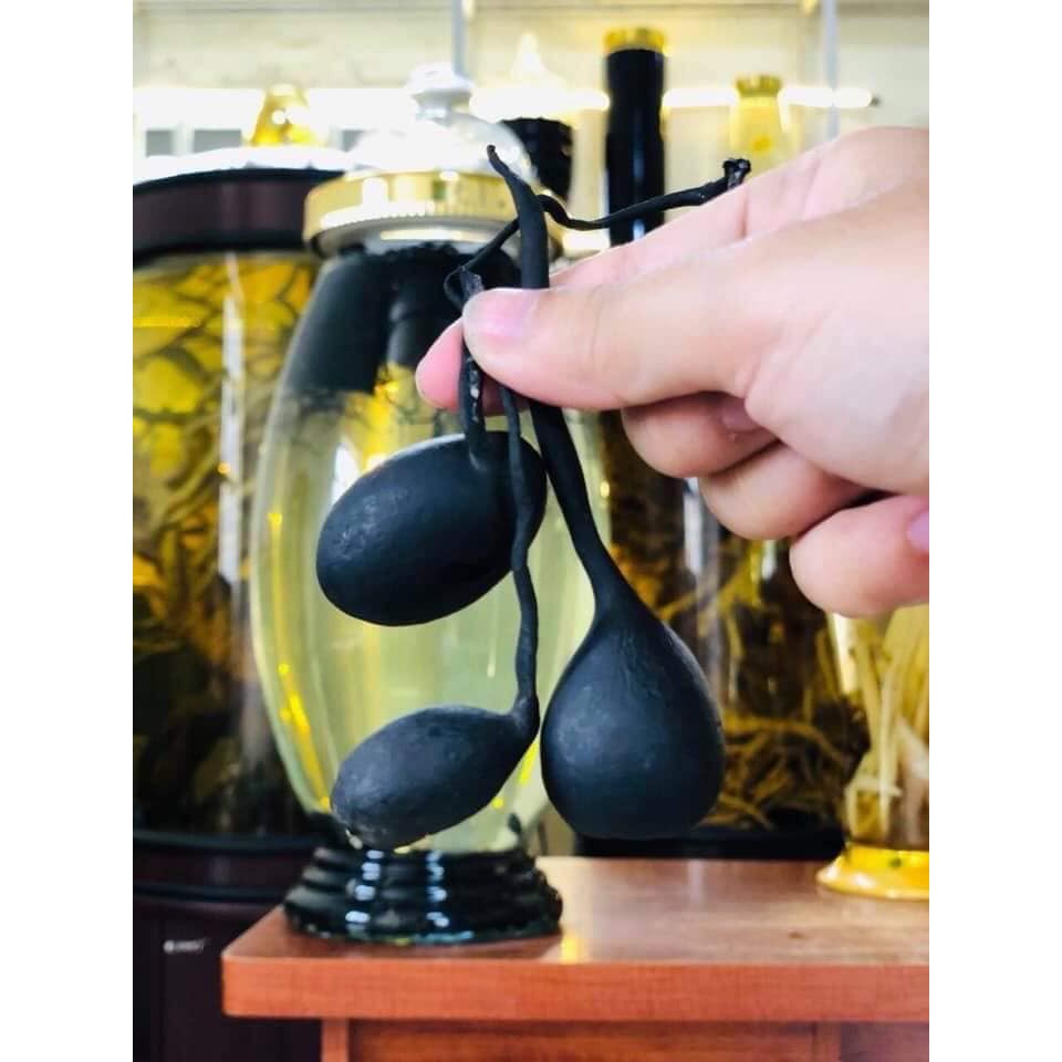 100gr sâm ô linh tươi - Cao cấp