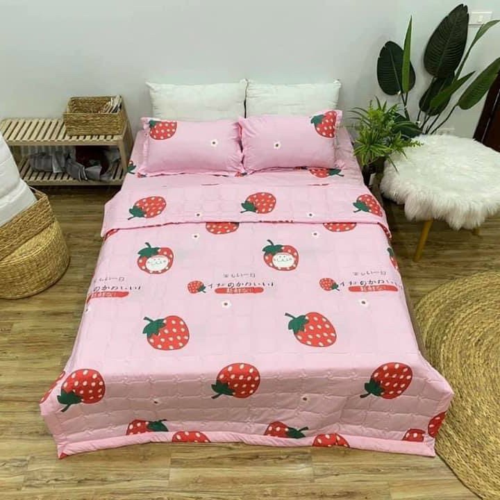 Trọn bộ sét chăn hè cầu vồng ga gối 5 món poly cotton - Gồm 1 chăn hè 1 ga bo chun 2 gối nằm 1 gối ôm