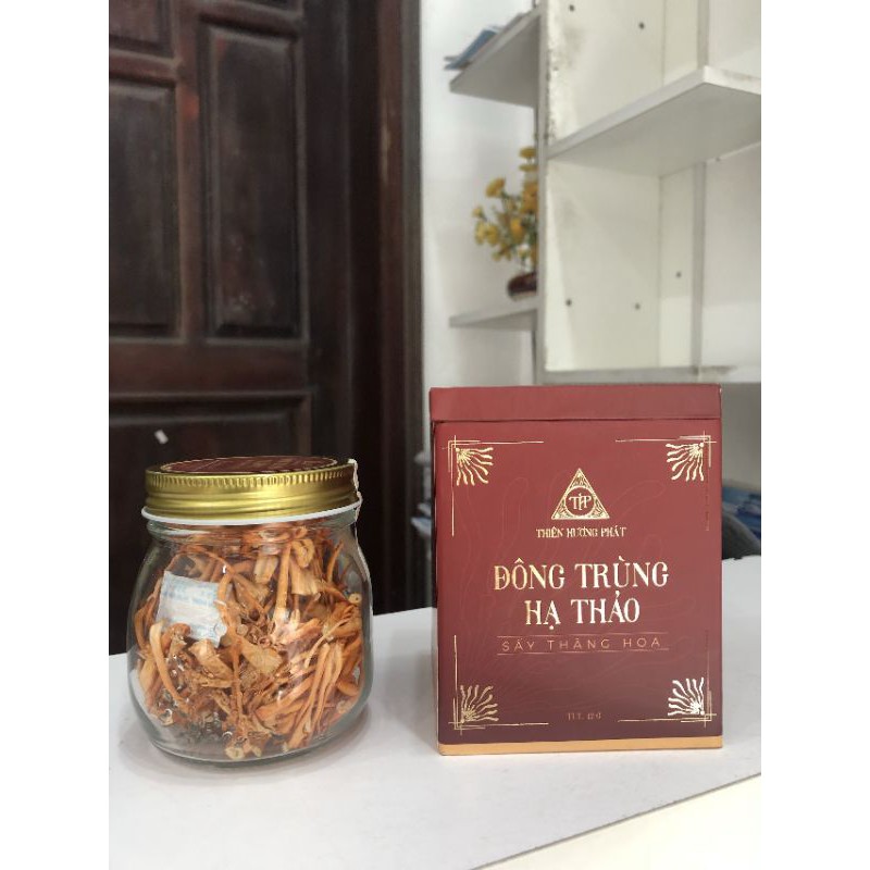ĐÔNG TRÙNG HẠ THẢO sấy khô ( 12 gram) - Thiên Hương Phát