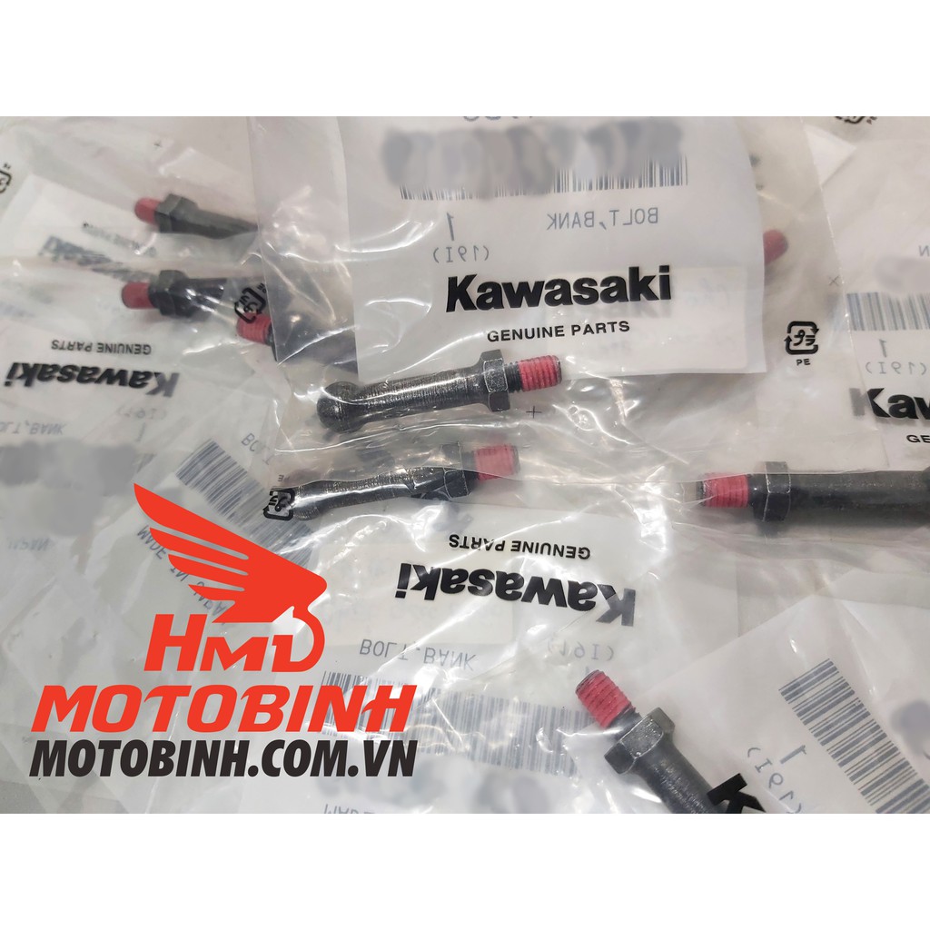 Chốt gác chân OEM Kawasaki Z800 - Z1000