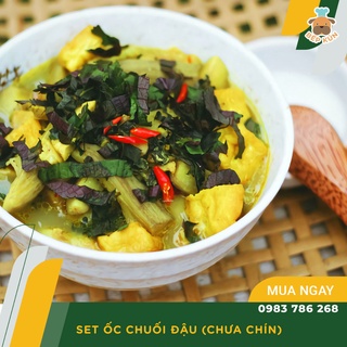 Sét Ốc Chuối Đậu