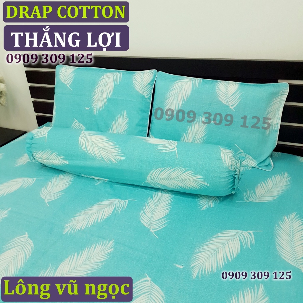(RẺ VÔ ĐỊCH) bộ drap cotton Thắng Lợi, ga giường 100% cao cấp LÔNG VŨ NGỌC