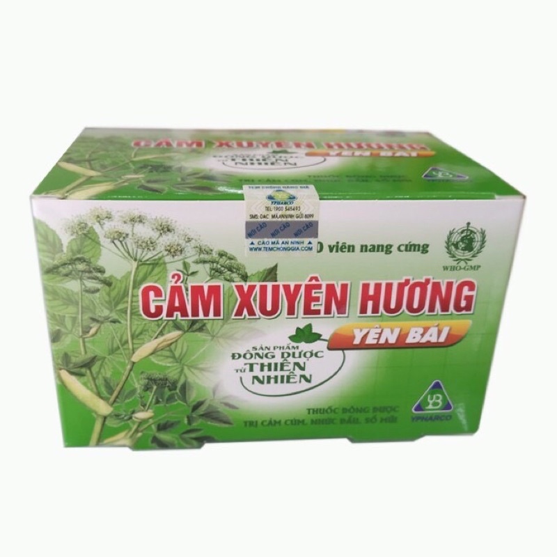 Cảm xuyên hương Yên Bái hộp 100 viên