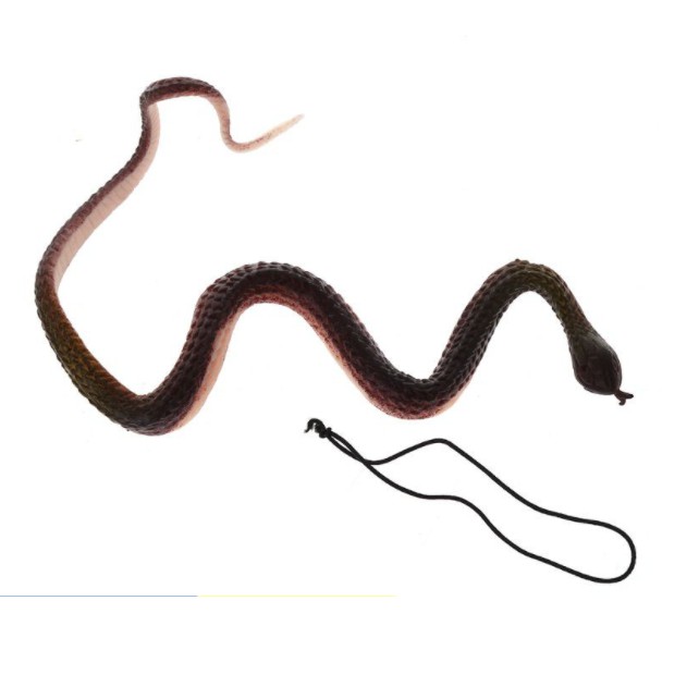 💥 Đồ chơi rắn giả bằng cao su💥CÓ SẴN💥CHỌN MẪU💥FOLLOW TẶNG 3K]💥VOUCHER 100K💥