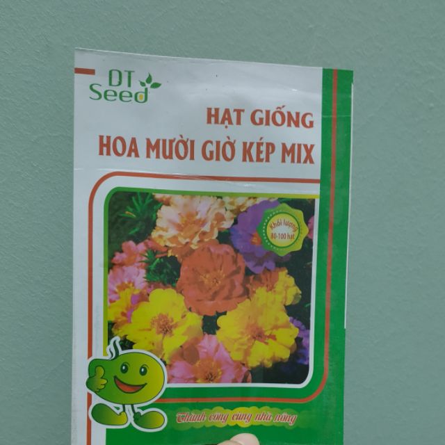 Hạt giống hoa mười giờ kép 100H - Rau củ quả trồng tại vườn, sân thượng, nông trang, ban công