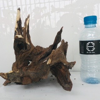 Gỗ lũa thủy sinh, lũa bể cá, lũa làm bonsai siêu đẹp, kích thước lớn 4095
