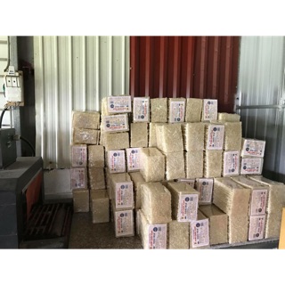 Cơm cháy khô chưa chiên
