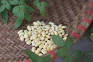 BỘT ĐẬU MẦM HỮU CƠ