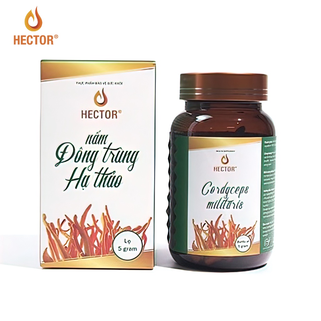 Đông trùng hạ thảo khô sấy thăng hoa Hector hỗ trợ tăng cường sức khỏe 5g