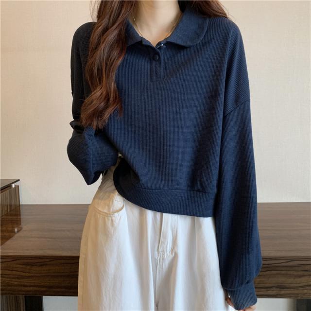 Áo Sweater tay dài dáng rộng cổ polo thời trang mùa thu 0323 | BigBuy360 - bigbuy360.vn