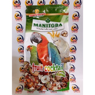 Fruit cocktail dành cho Vẹt gói nguyên seal 700g