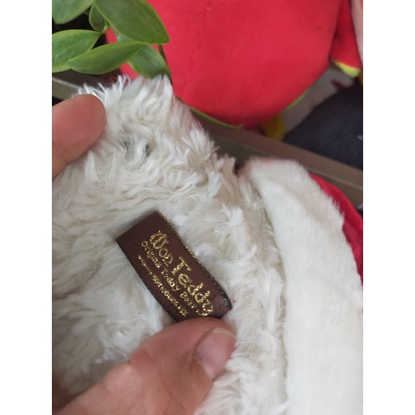 Gấu bông Teddy giá rẻ🌲☃️🍃