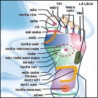 ❤️ Bàn massage chân bằng gỗ cao cấp – Dụng cụ chăm sóc sức khoẻ chống mỏi, đau nhức, matxa chân lưu thông huyệt đạo