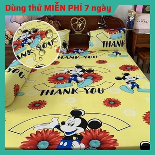 Ga chống thấm cotton hàn quốc