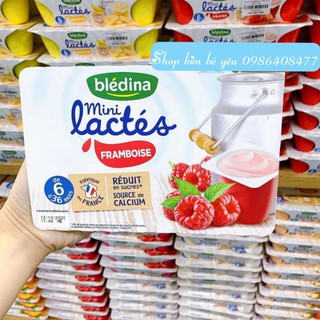 Sữa chua BLEDINA đủ vị
