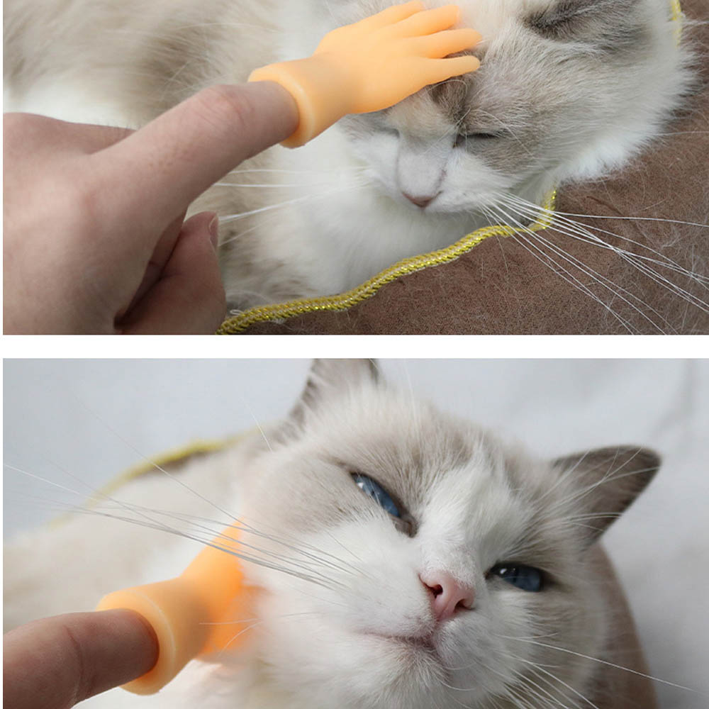 Bàn tay làm từ cao su đồ chơi sáng tạo cho thú cưng mèo