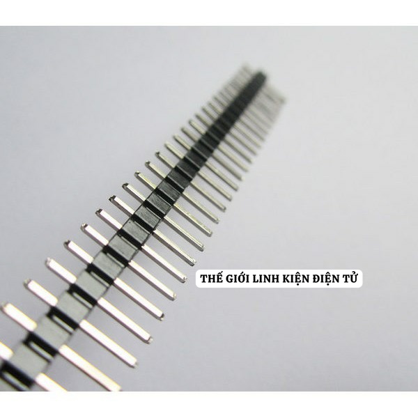 Hàng Rào Đực - Cái, Chân Thẳng, Chân Cong, 40 Pin