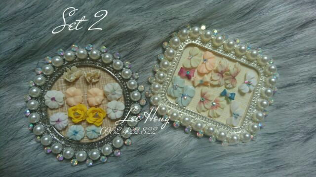 Set 25 hoa bột nail
