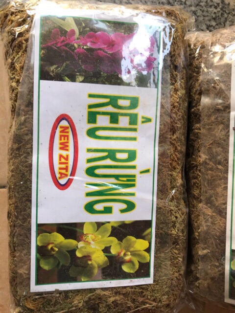 rêu rừng trồng lan NEWZITA