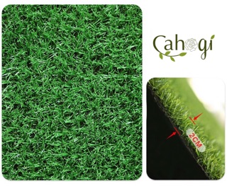 Cỏ Nhân Tạo Trải Sàn Độ Cao 2cm