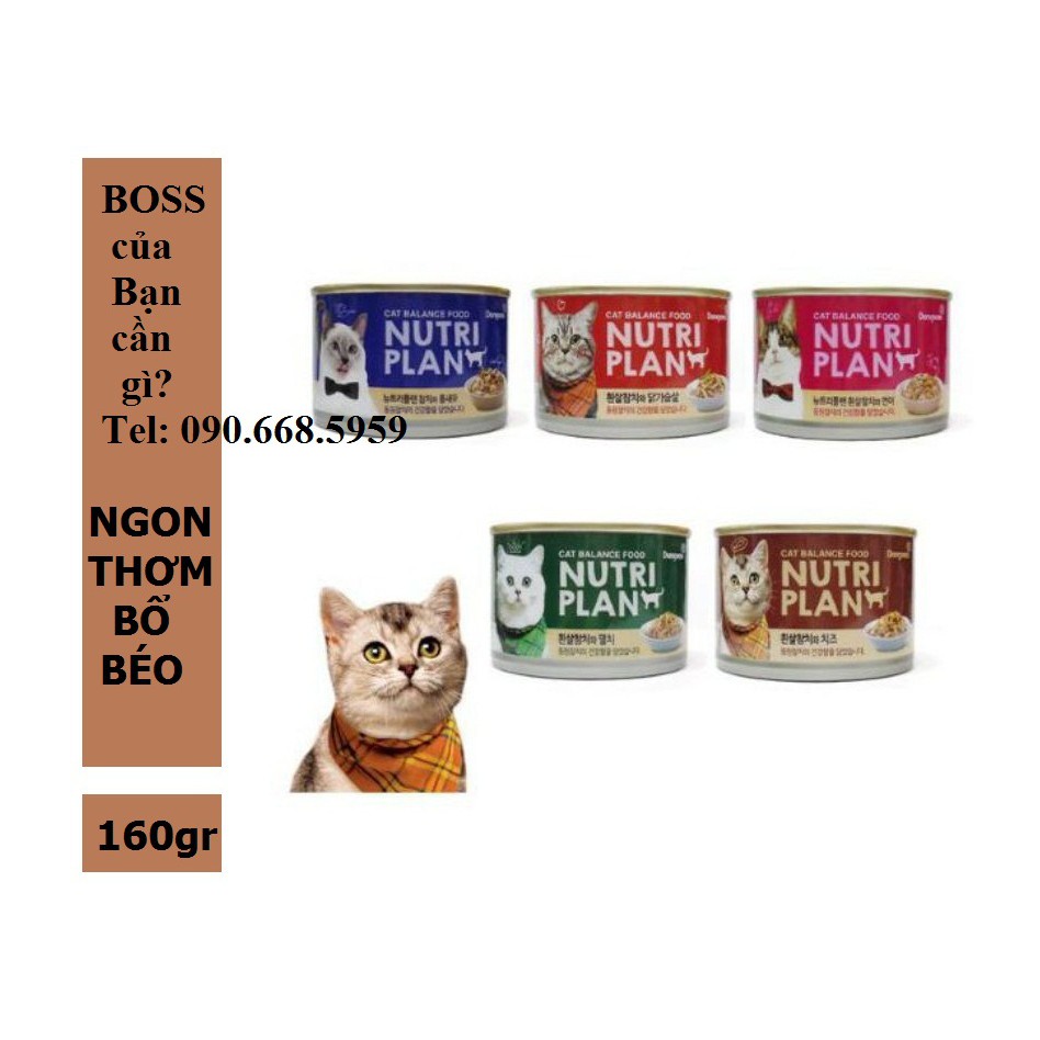 Pate cho mèo Nutri Plan 160g - Hàn Quốc