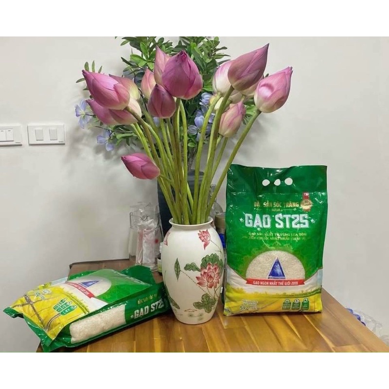 Gạo ST25 Vinaseed túi 5kg