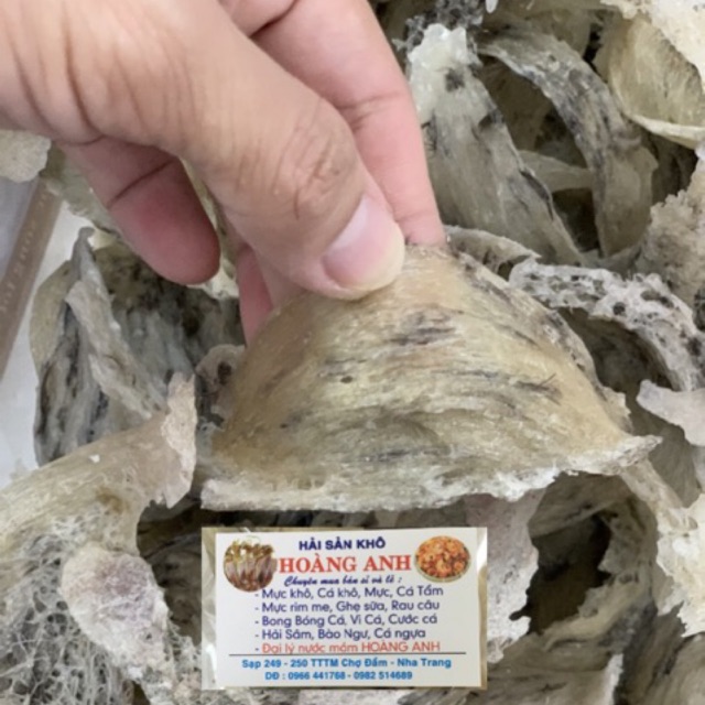 10g yến tổ thô ít lông nguyên chất+ tặng nhíp | BigBuy360 - bigbuy360.vn