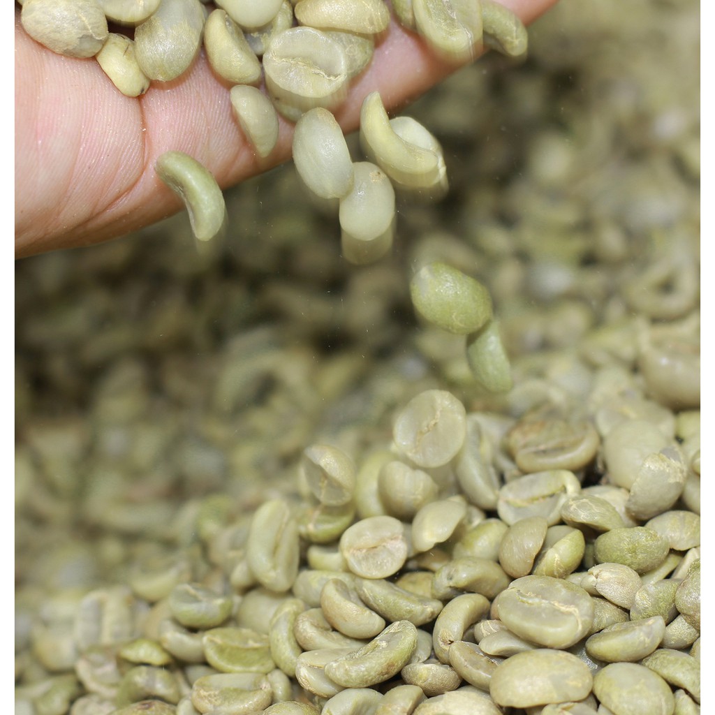 Gói 500g Cà Phê Arabica Rang Mộc DUC ANH COFFEE Tùy Chọn Pha Phin Pha Máy Hoặc Nguyên Hạt Công Ty Cà Phê Đức Anh | BigBuy360 - bigbuy360.vn