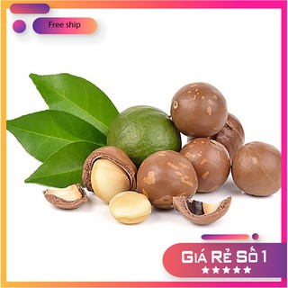 450g hạt macca ❌freeship❌ tặng kèm lẫy tách ăn liền vỏ nứt tự nhiên thơm bùi nhiều dinh dưỡng size đại