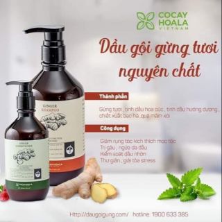 Combo DẦU GỘI XẢ GỪNG CỎ CÂY HOA LÁ