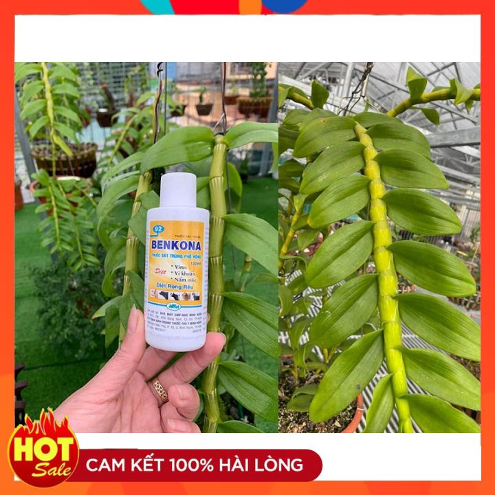 Thuốc Sát Trùng Chuồng Trại Và Vườn Hoa Lan BENKONA 100ML