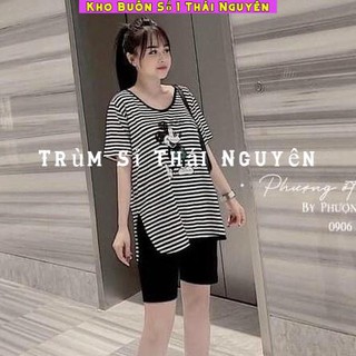 Bộ kẻ cộc tay kèm quần, sét kẻ micky - áo xẻ vạt bao đẹp / kho buôn thu hà