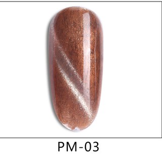 Sơn gel mắt mèo AS  mã PM chai 15ml