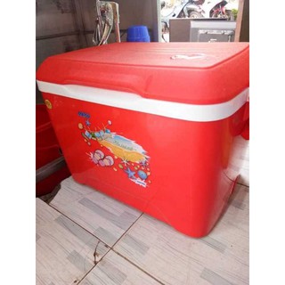 Thùng đá cao cấp Duy Tân 45 Lít