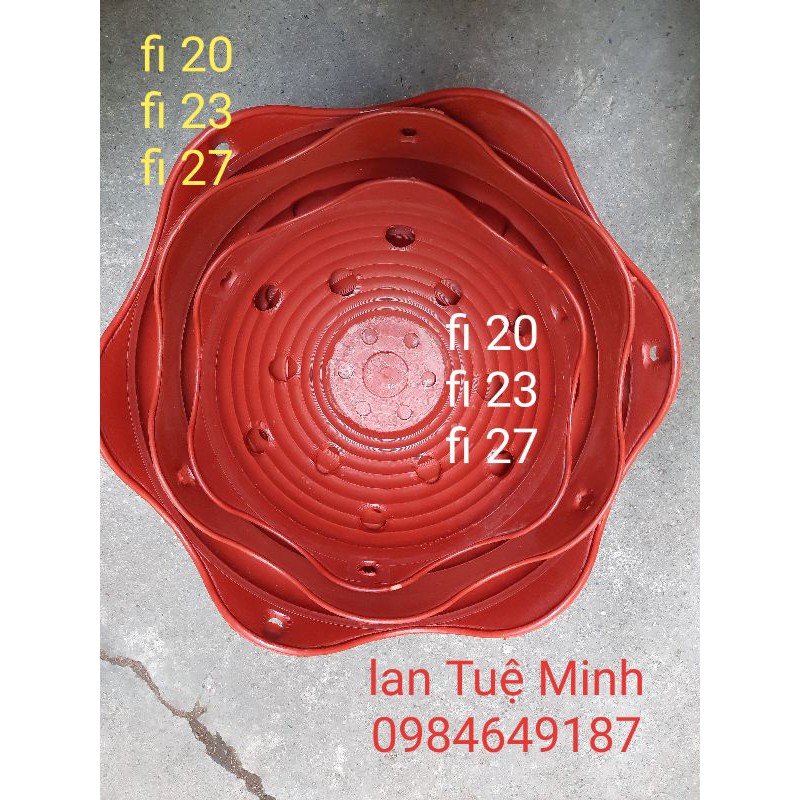 Combo 10 Chậu nhựa lan bèo giả đất đủ size hàng đẹp