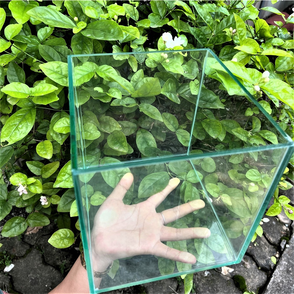 Hồ cá, bể cá cảnh thủy sinh ( D2O x R20x C20), tặng kèm phụ kiện CÂY &amp; ĐÁ