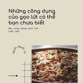 BỘT GẠO LỨT