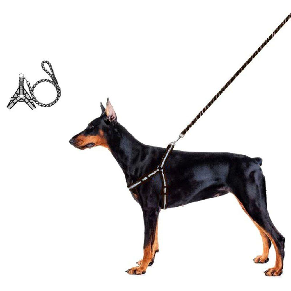 Bộ Dây Dắt Và Dây Dắt Đi Dạo Bằng Nylon Bện Phản Quang