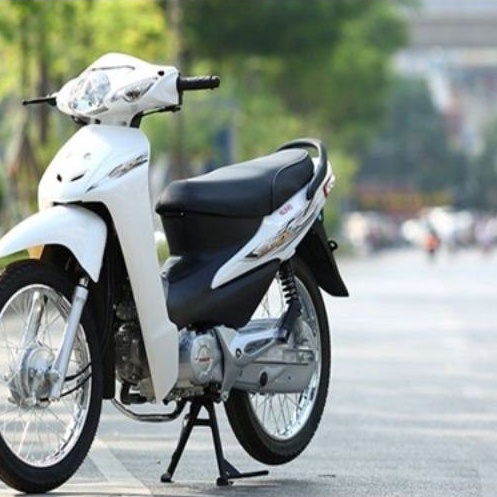 Tay xách wave cảng sau xe máy Wave RS, Wave a100, Wave cá 50cc học sinh, S100 hàng cao cấp