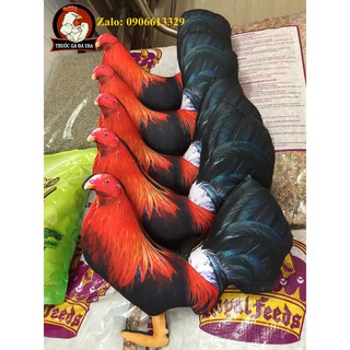 Gà giả tập luyện mẫu mới 2019