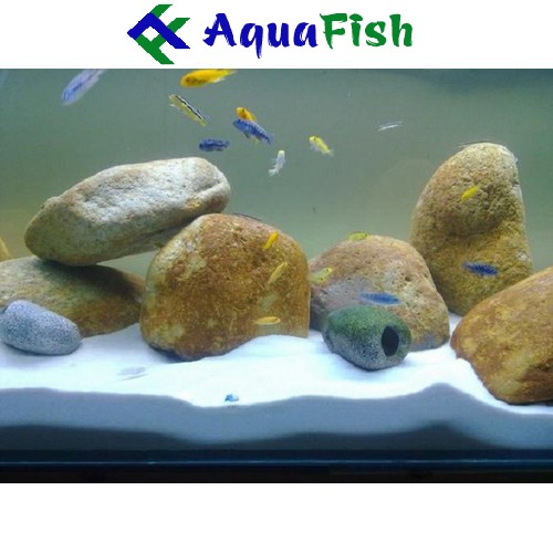 Cát Trắng Trang Trí Bể Cá Cảnh 1kg (cát trắng, đều và mịn)