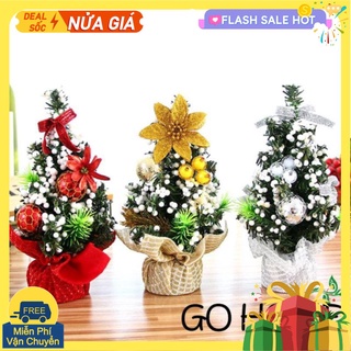 Cây thông noel giá rẻ