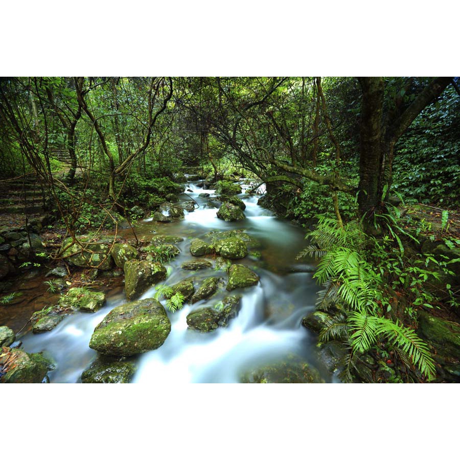 Tranh phong cảnh thác nước thiên nhiên tươi đẹp 3D