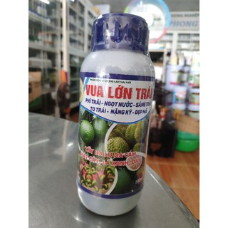 Vua lớn trái : phì trái, ngọt nước, sáng trái, to trái, nặng kí, đẹp mã.