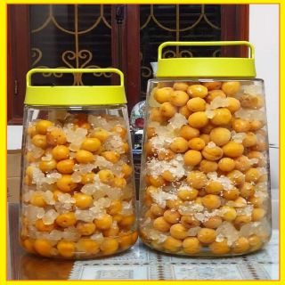 Bình thủy tinh ngâm rượu glasslock  3000ml IP622