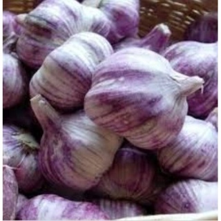 TỎI TÍM BẮC 250g