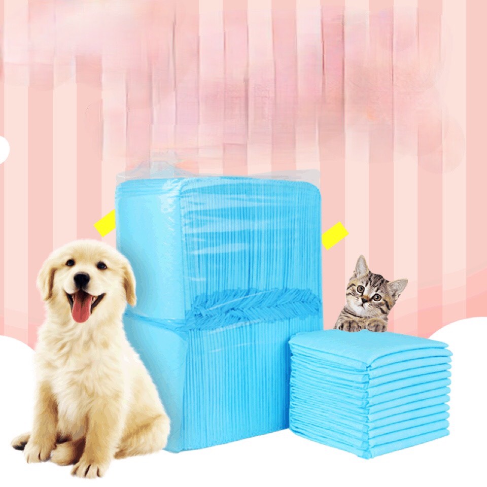 1 Miếng Tã Lót Chuồng Vệ Sinh Cho Chó Mèo
