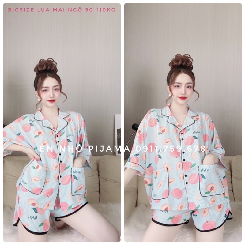 Bigsize  CR cao cấp 50-110kg Én Nhỏ Pijama | BigBuy360 - bigbuy360.vn