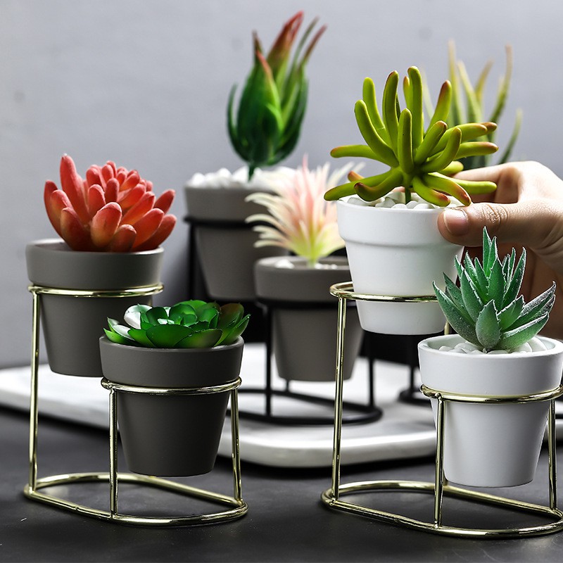 Chậu cây có khung bằng sắt trang trí nội thất sang trọng